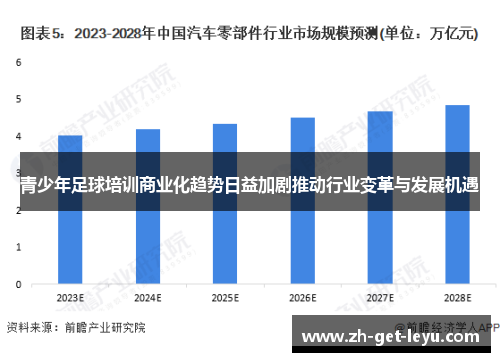 青少年足球培训商业化趋势日益加剧推动行业变革与发展机遇
